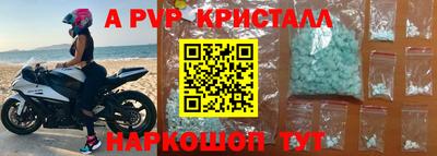 стафф Будённовск
