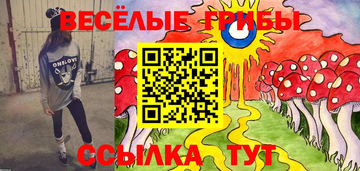 Сокол  Псилоцибиновые грибы Cubensis  Вход с VPN 