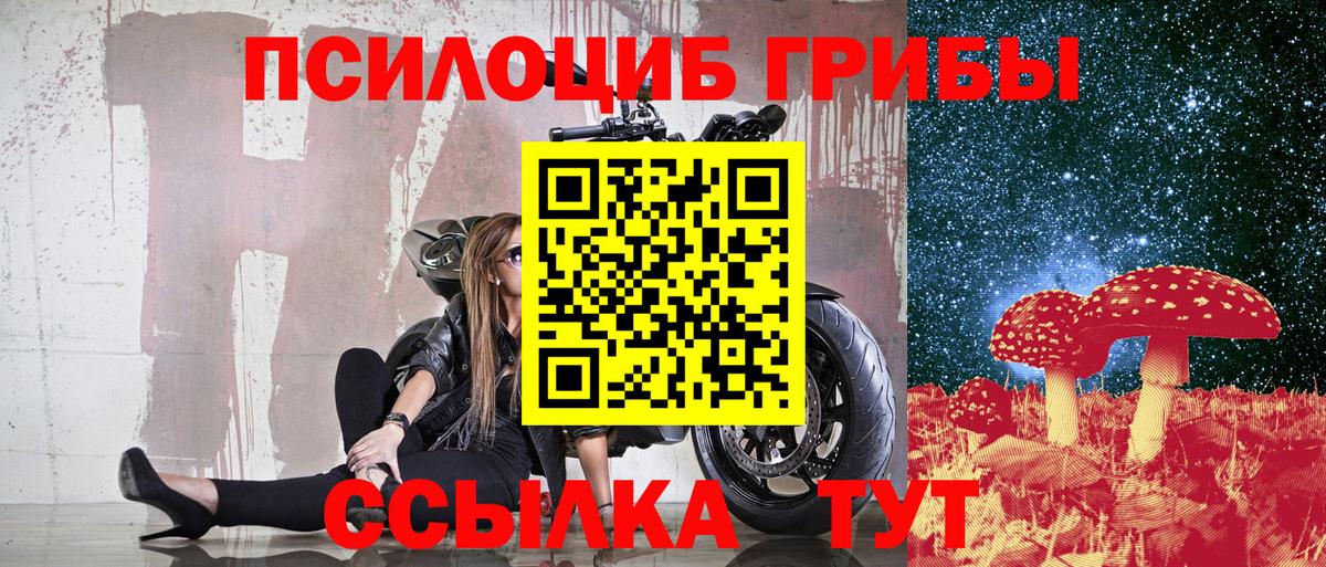 Псилоцибиновые грибы Cubensis Сокол