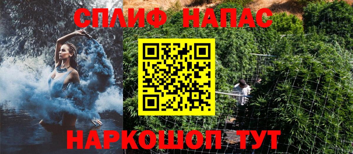 Канабис гибрид Сокол